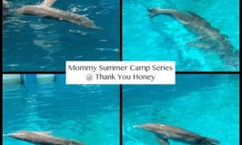 Mommy DIY Summer Camp