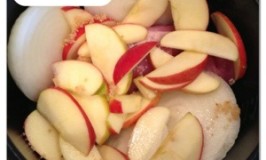 Apple Onion Pulled Pork Recipe