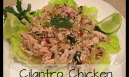 Cilantro Chicken
