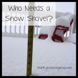 SnowShovel