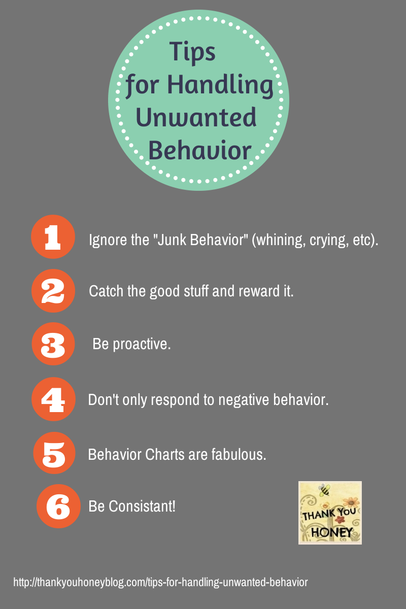 Tips for Handling Unwanted Behavior, Behavior Modification, ABA, Kids, Parenting, Applied Behavior Analysis, http://thankyouhoneyblog.com
