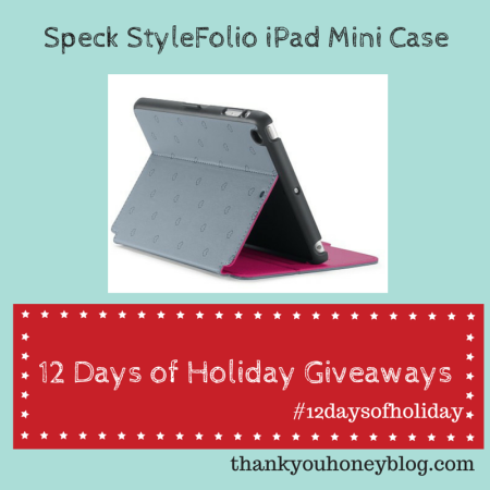 StyleFolio iPad Case